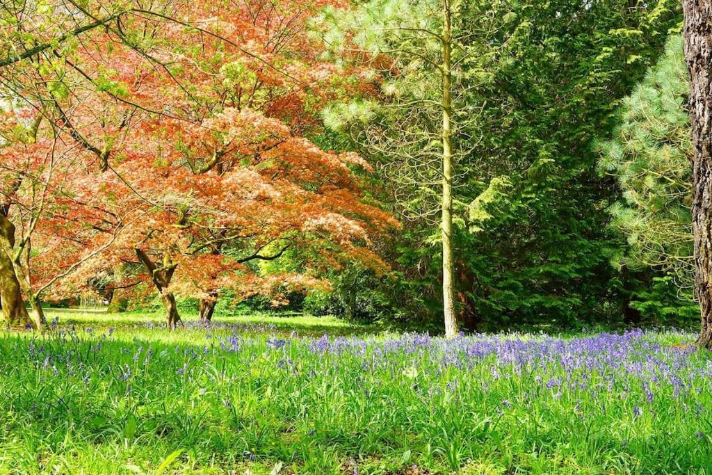 Cotswold Manor House - Country House Retreat With Hot Tub, Ideal For Large Groups Petty France Eksteriør bilde